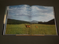 1972 YELLOWSTONE A CENTURY OF THE WILDERNESS IDEA BOOK BY ANN & MYRON - I 1364