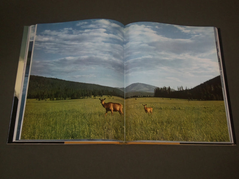 1972 YELLOWSTONE A CENTURY OF THE WILDERNESS IDEA BOOK BY ANN & MYRON - I 1364