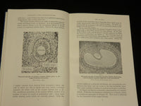 1968 FERTILITY AND CONTRACEPTION IN THE HUMAN FEMALE BOOK BY LORAINE - KD 2766C