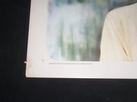 1973 BROTHER SUN SISTER MOON 1/2 SHEET MOVIE POSTER - ALEC GUINNESS - P 363