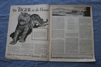 1934 APRIL HOME ARTS NEEDLECRAFT MAGAZINE - STORIES/ILLUSTRATIONS/ADS - SP 4784W