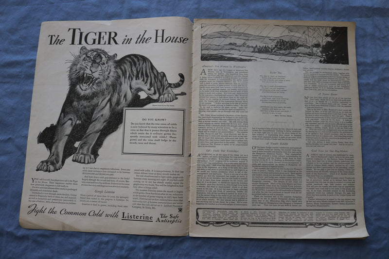1934 APRIL HOME ARTS NEEDLECRAFT MAGAZINE - STORIES/ILLUSTRATIONS/ADS - SP 4784W