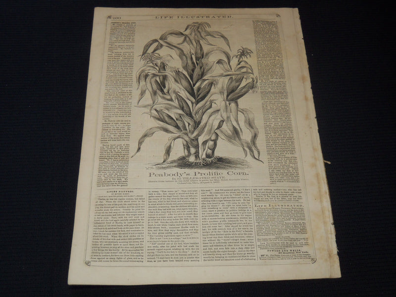 1858 MARCH 13 LIFE ILLUSTRATED NEWSPAPER - PEABODY'S PROLIFIC CORN - NP 5895