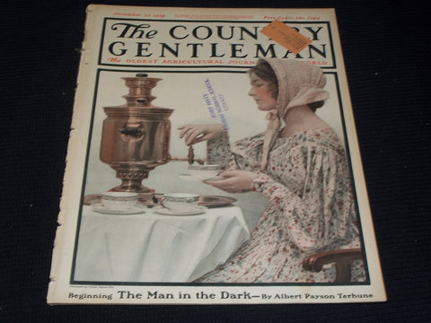 1919 NOVEMBER 22 THE COUNTRY GENTLEMAN MAGAZINE ILLUSTRATED COVER ART - E 2914