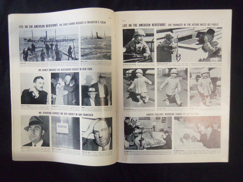 1937 APRIL 5 LIFE MAGAZINE - TERRIER BARKING UP TREE - L 20