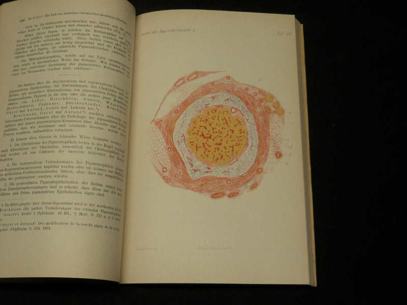 1894-1907 ARCHIV FUR AUGENHEILKUNDE KNAPP SCHWEIGGER VOLUME LOT OF 28 - R 372