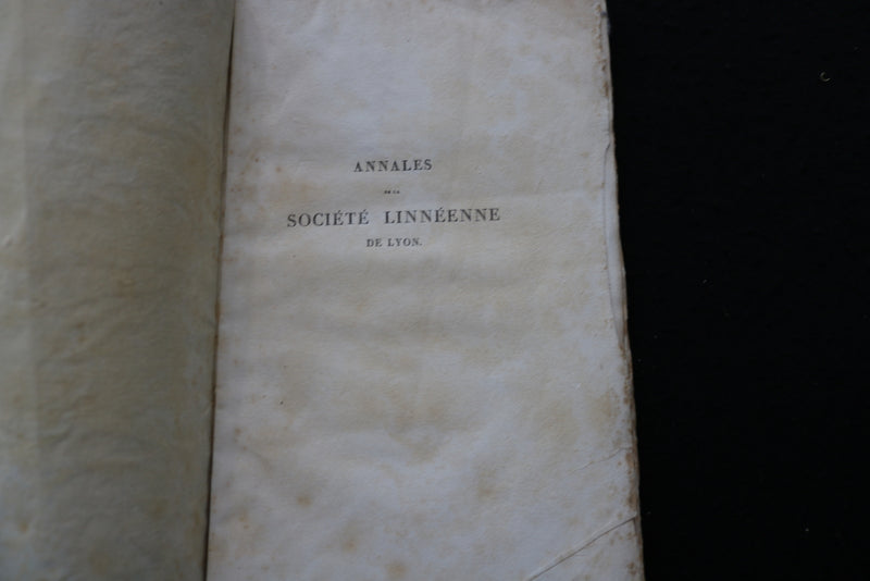 1856 ANNALES DE LA SOCIETE LINNEENNE DE LYON SOFTCOVER BOOK - FRENCH - K 1863