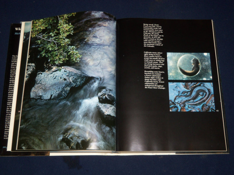 Wilderness Rivers of America by Michael Jenkinson (1981, Hardcover) - I 304