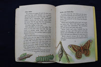 1950'S BIRDS & INSECT PARADE SOFTCOVER BOOKS BY BERTHA PARKER - LOT OF 2- K 1376