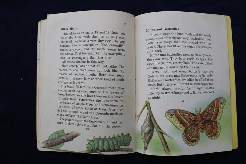 1950'S BIRDS & INSECT PARADE SOFTCOVER BOOKS BY BERTHA PARKER - LOT OF 2- K 1376