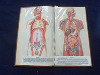 1958 TRANS-VISIONS OF ANATOMICAL CHROMOGRAPHS HARDCOVER BOOK BY DAVIS - KD 8756