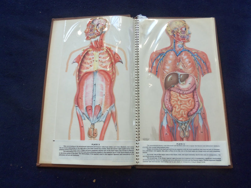 1958 TRANS-VISIONS OF ANATOMICAL CHROMOGRAPHS HARDCOVER BOOK BY DAVIS - KD 8756