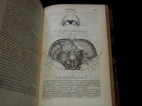 1850 COURS ELEMENTAIRE D'HISTOIRE NATURELLE FRENCH VOLUME - KD 7713
