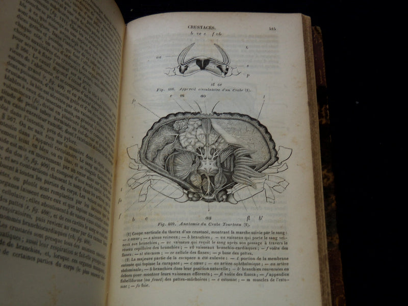 1850 COURS ELEMENTAIRE D'HISTOIRE NATURELLE FRENCH VOLUME - KD 7713