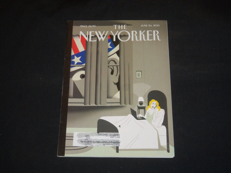 2013 JUNE 24 THE NEW YORKER MAGAZINE - ILLUSTRATED COVER - NY 2176