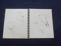 1986 BIRD STUDIES SOFTCOVER BOOK BY DAVID MOHRHARDT - KD 8204