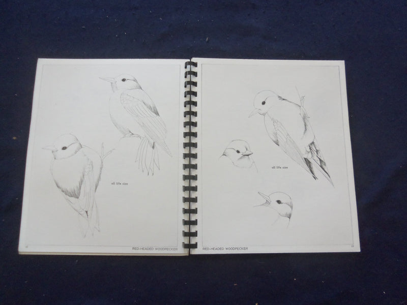 1986 BIRD STUDIES SOFTCOVER BOOK BY DAVID MOHRHARDT - KD 8204