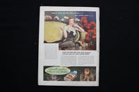 1933 NOV HOME & FIELD MAGAZINE - TABLE PAINTING BY LEON CARROLL COVER - E 11117
