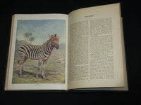 1901 BIRDS AND NATURE IN NATURAL COLORS VOLUME 10 BY WILLIAM HIGLEY - KD 7512