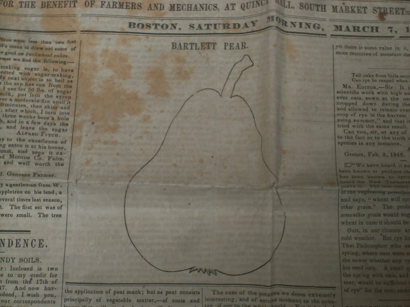 1846 MARCH 7 MASSACHUSETTS PLOUGHMAN NEWSPAPER - BARTLETT PEAR - NP 5120