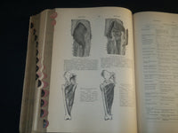 1907 AN ILLUSTRATED DICTIONARY OF MEDICINE BIOLOGY BOOK BY GEORGE GOULD- KD 1421