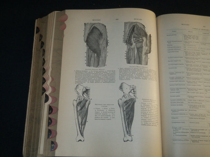 1907 AN ILLUSTRATED DICTIONARY OF MEDICINE BIOLOGY BOOK BY GEORGE GOULD- KD 1421