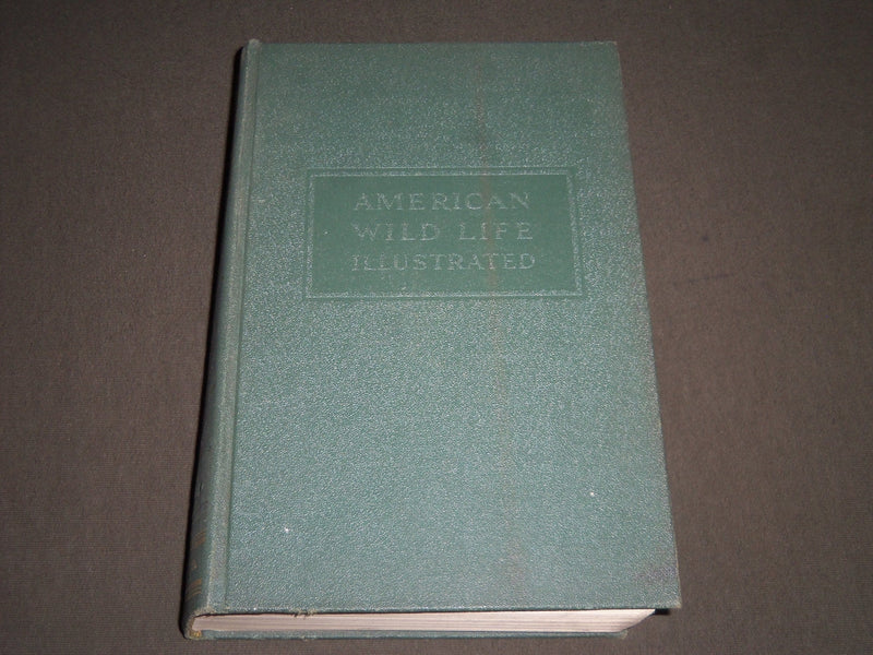 1940 AMERICAN WILD LIFE ILLUSTRATED PHOTOGRAPH BY AUSTIN BAYLITTS BOOK - KD 4233