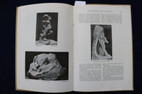 1918 THE AMERICAN MAGAZINE OF ART - AUGUSTE RODIN - K 1522