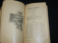1885 ILLUSTRATED BALTIMORE AMERICAN ALMANAC - SOFTCOVER- J 6863