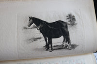 1913 GARNETT AND THE BRINDLED COW ALSO OTHER MOTHERS BY ALICE HUBBARD - K 2246