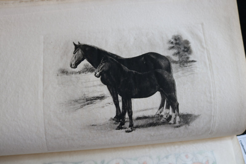 1913 GARNETT AND THE BRINDLED COW ALSO OTHER MOTHERS BY ALICE HUBBARD - K 2246