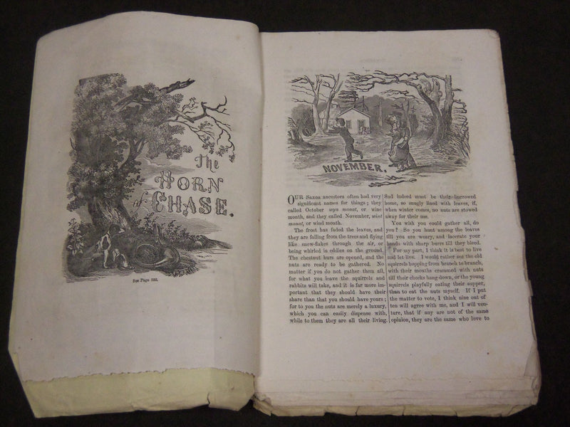 1854 MERRY'S MUSEUM AND PARLEY'S PLAYMATE MAGAZINE LOT OF 9 ISSUES - WR 889