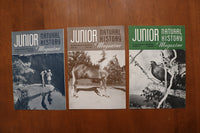 1946-1949 JUNIOR NATURAL HISTORY MAGAZINE - LOT OF 36 - O 3926