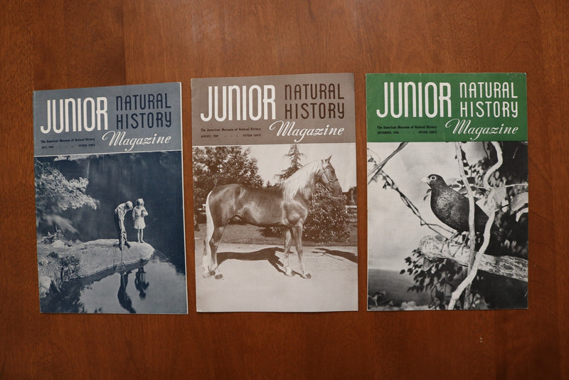1946-1949 JUNIOR NATURAL HISTORY MAGAZINE - LOT OF 36 - O 3926