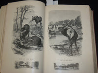 1900 NOVEMBER-1901 APRIL THE CENTURY MAGAZINE BOUND VOLUME - PARRISH - KD 2759R