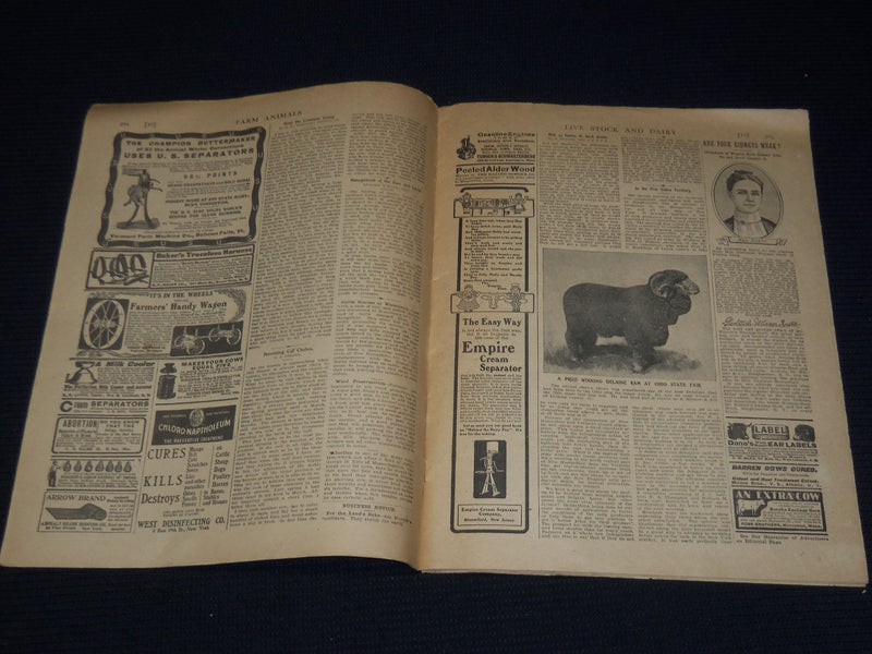 1903-1906 NEW ENGLAND HOMESTEAD NEWSPAPER LOT OF 3 - SPRINGFIELD MASS - NP 3878B