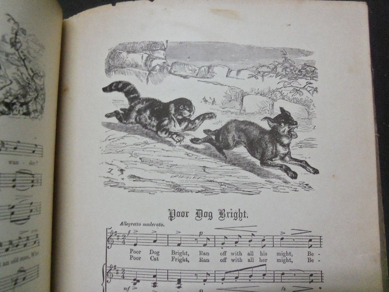 1880'S PEEK A BOO CHILDREN'S BOOK - PICTURES & STORIES FOR OUR PETS - KD 1744F