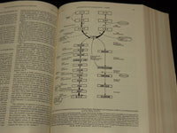 1977 JANUARY-JUNE THE NEW ENGLAND JOURNAL OF MEDICINE BOUND VOLUME - KD 6132R