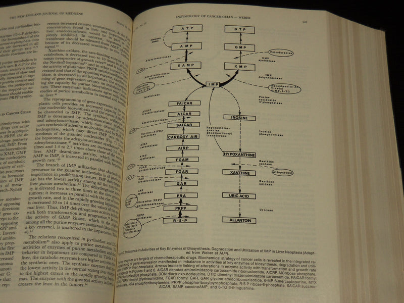 1977 JANUARY-JUNE THE NEW ENGLAND JOURNAL OF MEDICINE BOUND VOLUME - KD 6132R