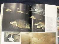 1978 THE OCEAN REALM HARDCOVER BOOK - NATIONAL GEOGRAPHIC SOCIETY - KD 8282