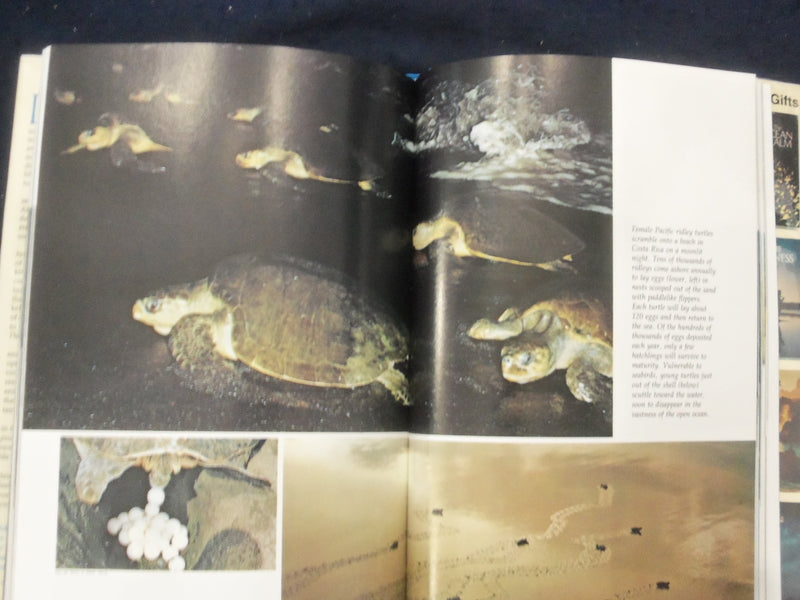 1978 THE OCEAN REALM HARDCOVER BOOK - NATIONAL GEOGRAPHIC SOCIETY - KD 8282
