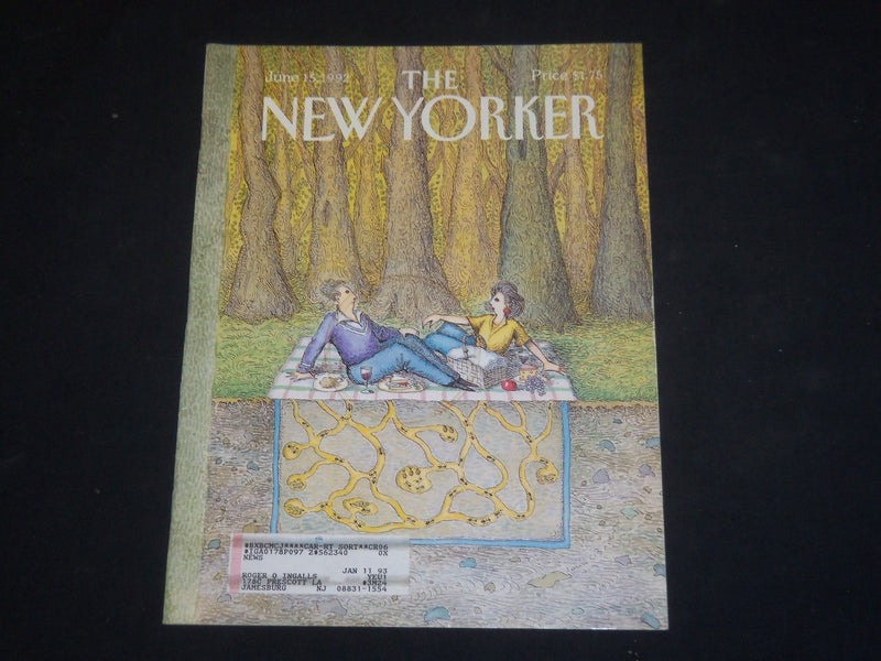 1992 JUNE 15 THE NEW YORKER MAGAZINE - ILLUSTRATED COVER - NY 1538