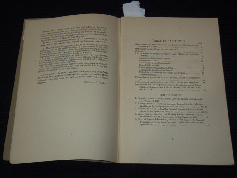 1926 UNITED STATES PRISONERS IN COUNTY JAILS REPORT BY HASTINGS H. HART - K 3106
