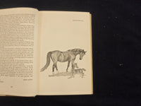 1961 KNOW ABOUT HORSES HARDCOVER BOOK BY HARRY DISSTON - KD 8217