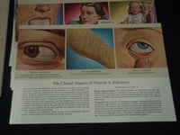 1947 VITAMINS AND CLINICAL CASE MANAGEMENT BY LEDERLE LABORATORIES - KD 3350C