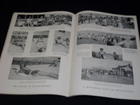 1933 AUGUST 15 TOWN & COUNTRY MAGAZINE - RICHARD CURRIER FRONT COVER - E 2529