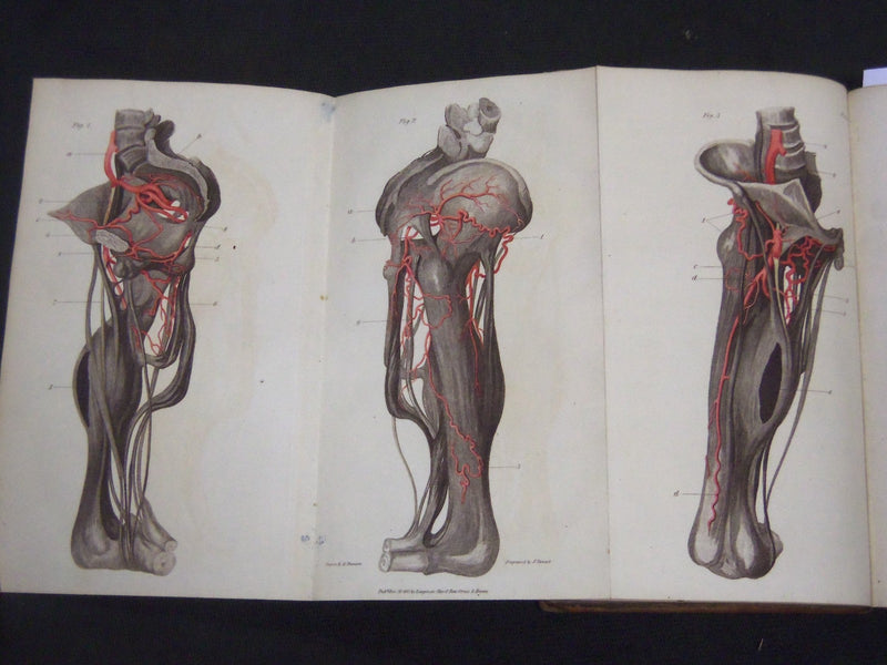 1813 MEDICO-CHITRURGICAL TRANSACTIONS VOLUME NO. 4 - NICE PLATES - KD 2059L