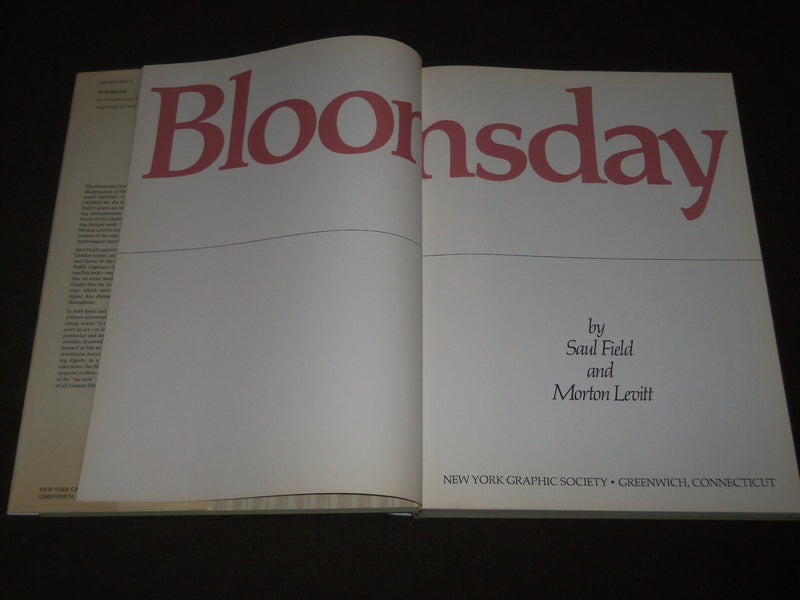 1972 BLOOMSDAY BY SAUL FIELD & MORTON LEVITT HARDCOVER BOOK - I 1565
