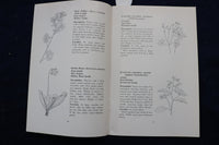 1965 COMMON WILD FLOWERS OF NEW YORK STATE SOFTCOVER BOOK - K 996
