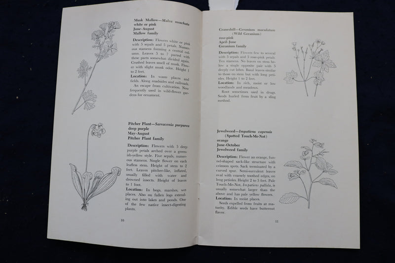 1965 COMMON WILD FLOWERS OF NEW YORK STATE SOFTCOVER BOOK - K 996